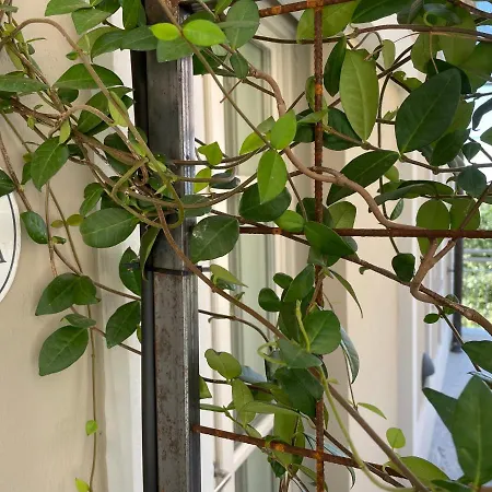 Pattono Relais 4* Costigliole d'Asti