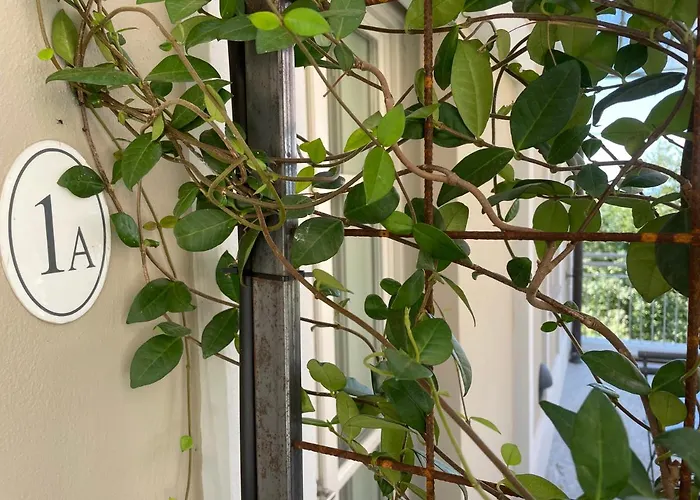 Pattono Relais 4* Costigliole d'Asti