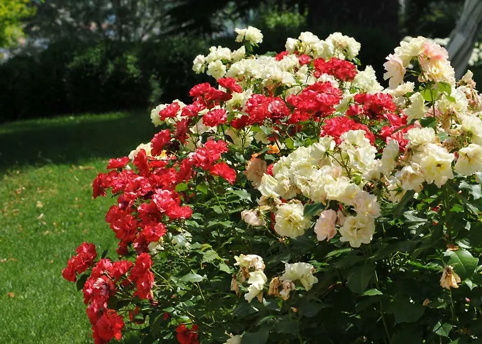 Pattono Relais 4* Costigliole d'Asti